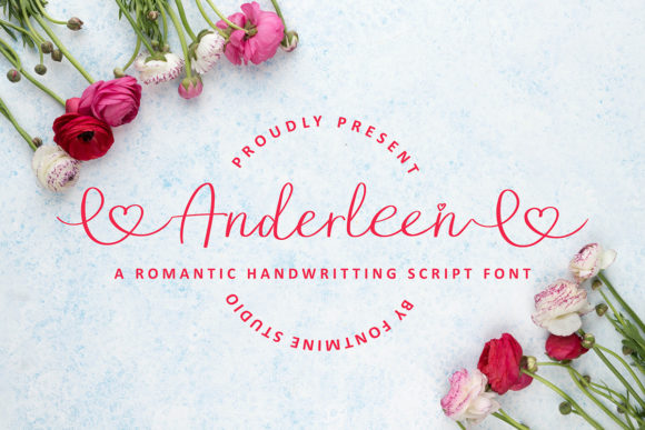 Anderleen: A Script for Real Projects