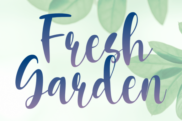 Fresh Garden: A Script Font Review