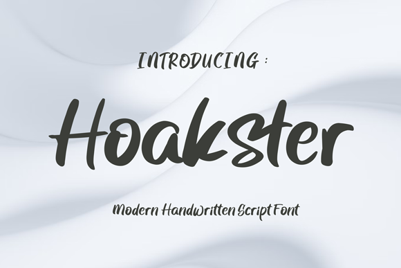Hoakster: A Stylish Script Font for Business