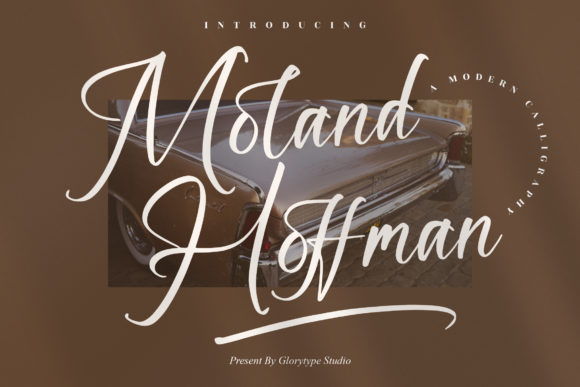 Moland Hoffman Font Review