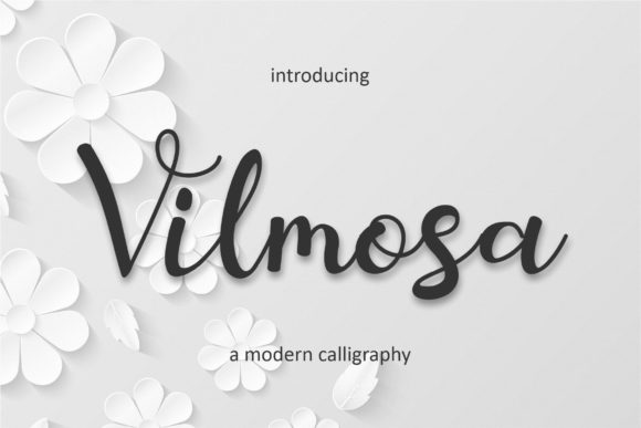 Vilmosa: A Whimsical Script Font for Crafters